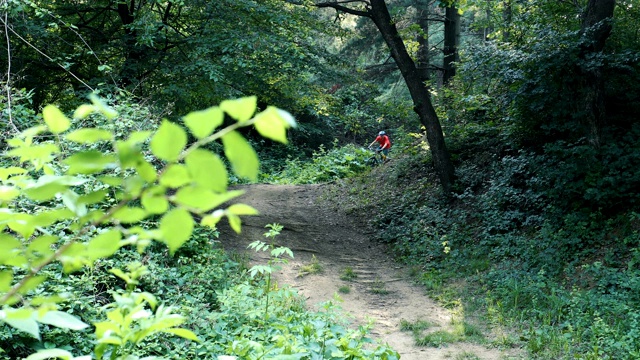 一名男子骑着山地车夏日阳光乡村景观小径视频素材