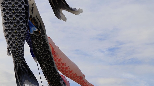 锦鲤旗因风而动。日本樱花节的装饰。缓慢的运动。视频下载