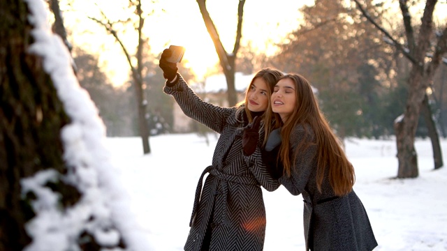年轻女子在雪中自拍视频下载