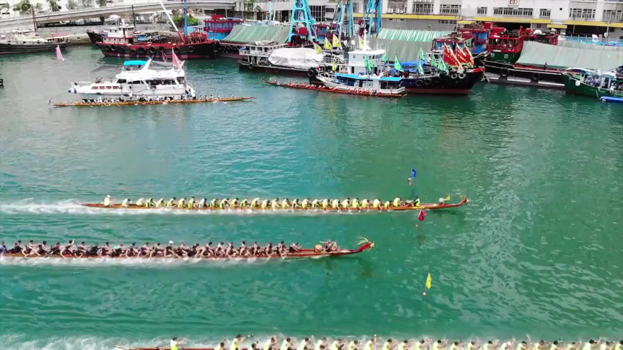 香港赛龙舟视频素材