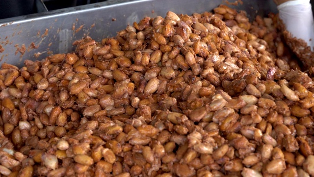 新鲜可可豆荚切开露出可可种子，与可可植物视频素材