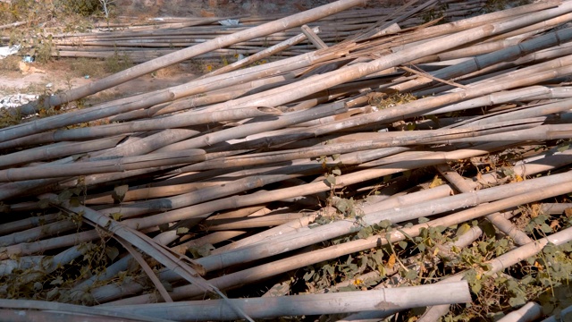 在印度，干竹杆被随意倾倒在一所正在建设的房子附近视频下载