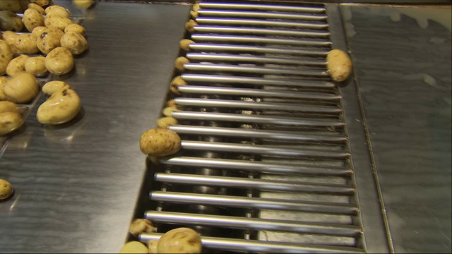 工厂生产线上的土豆视频素材