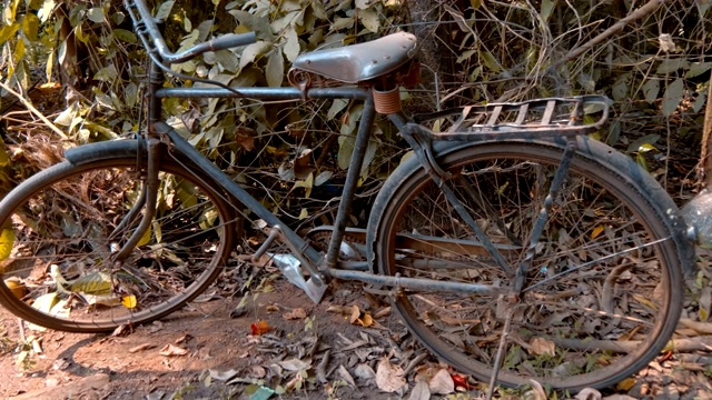 印度果阿，一辆老式自行车停在森林里等待主人视频下载