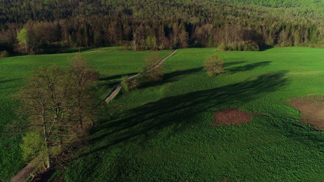 鸟瞰图的乡村道路通向森林视频素材
