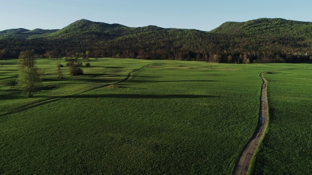 鸟瞰图的乡村道路通向森林视频素材