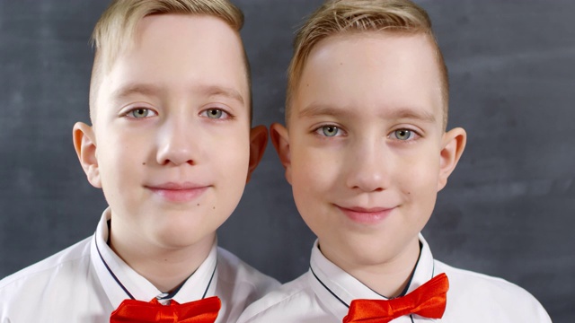 一对金发同卵双胞胎在镜头前摆姿势视频素材