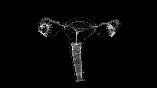 全息屏幕3d女性生殖系统在人体循环视频下载