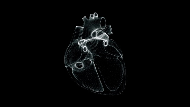 全息图表示屏幕3d心脏跳动在人体循环视频素材