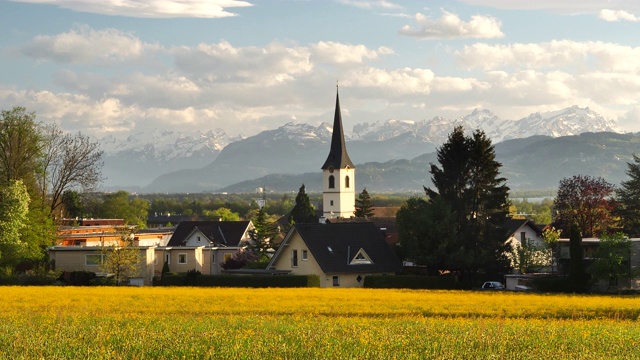 瑞士山脉后面的黄色开花草地视频下载