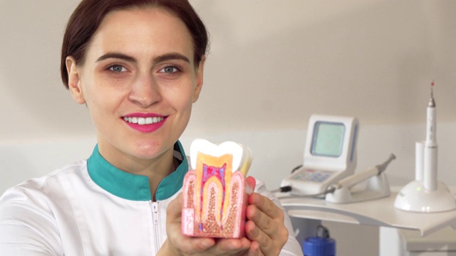 愉快的女牙医把健康的牙齿模型举到镜头前视频下载