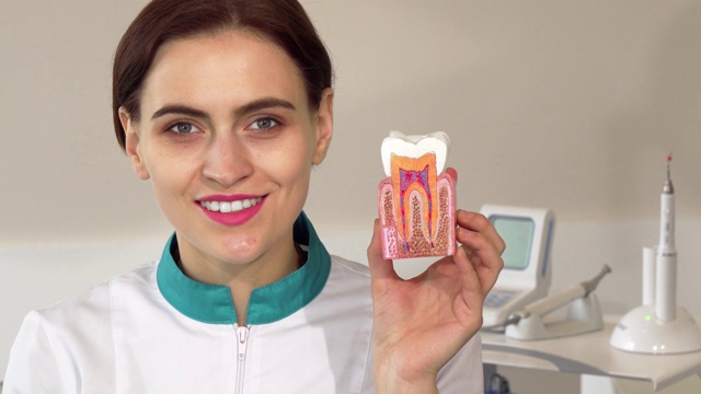 可爱的女牙医对着镜头微笑，拿着牙模视频下载