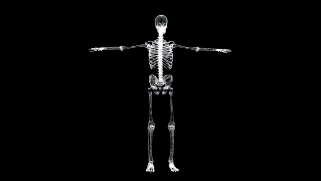 全息屏幕3d人体骨骼旋转在维特鲁威位置-环视频下载