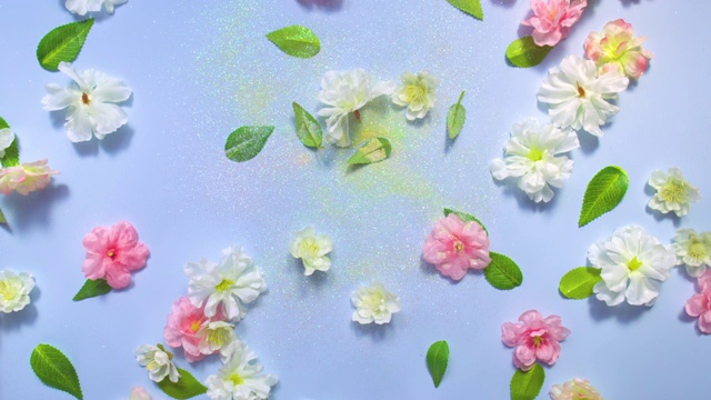 闪亮的字母Y-爆炸多柔和的彩色闪光粉包围在樱花和树叶在柔和的蓝色背景视频下载