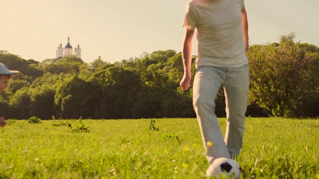 父亲和两个儿子在草地上踢足球视频购买