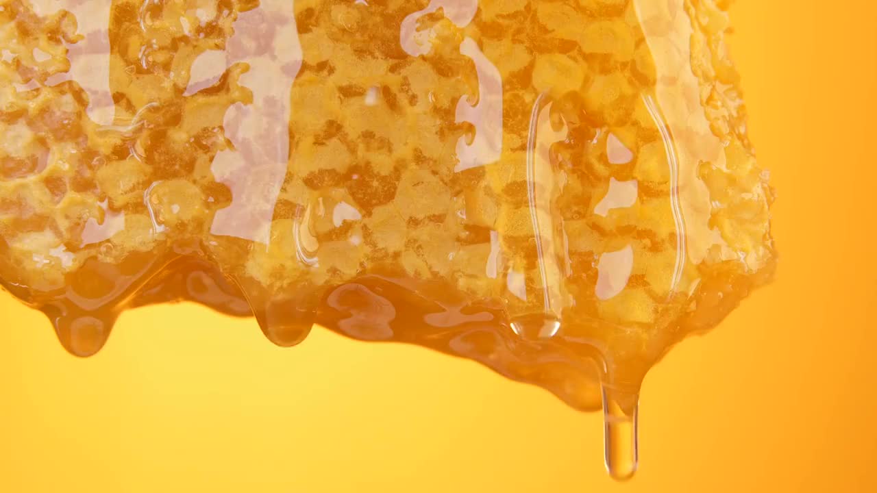 蜂蜜从蜂巢滴下视频素材