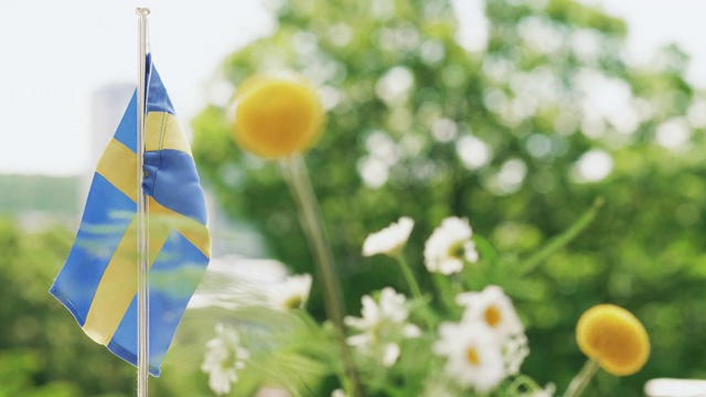 传统的瑞典仲夏户外晚餐视频下载
