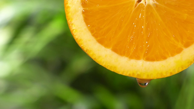 实时:从茂密的树叶上的橙子片上滴下的水滴视频素材