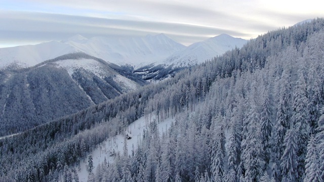 无人机拍摄雪山景观和森林视频下载