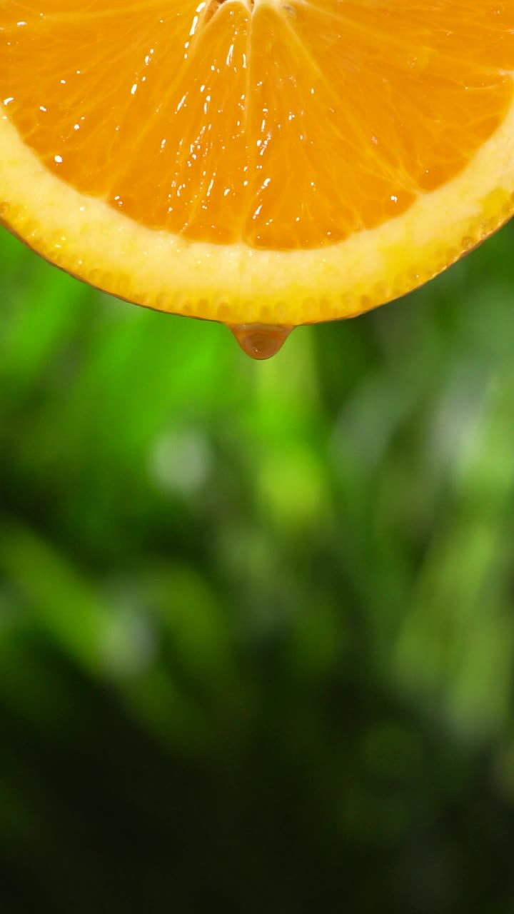 垂直和慢动作:从葱郁的树叶上的一片橘子上滴下一滴水视频素材