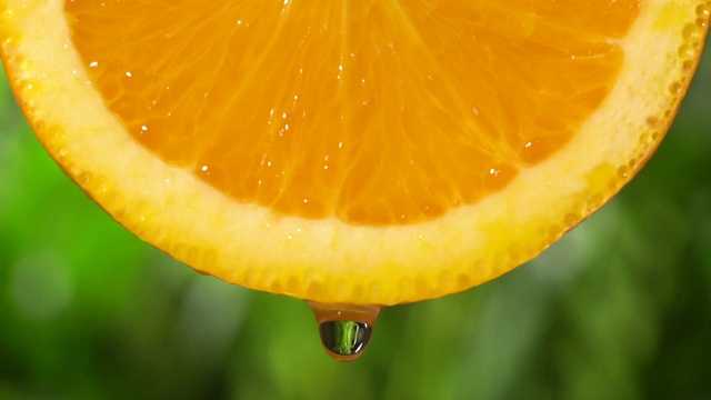 慢镜头:从一片葱郁的树叶上滴下一滴水视频素材