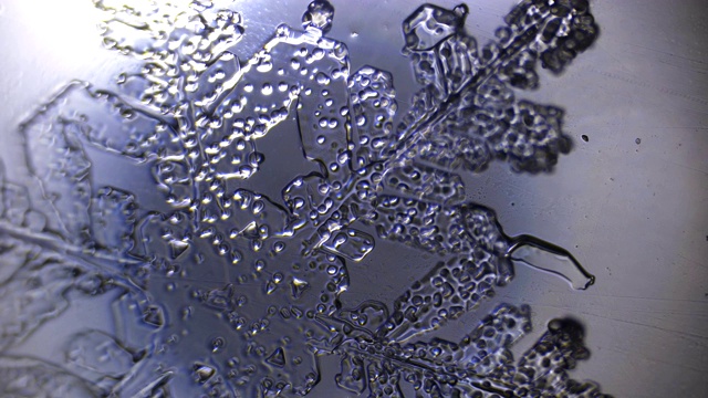 冰晶在显微镜下溶化视频下载