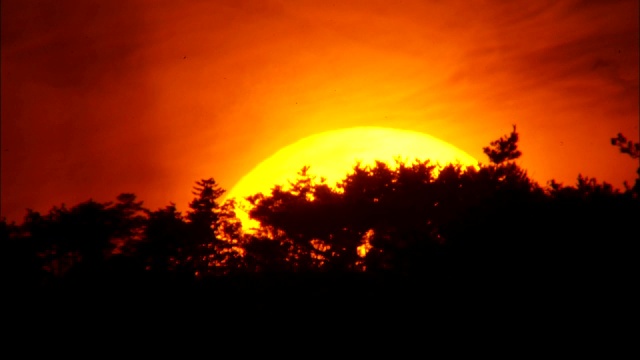 江原道森林的日落景色视频素材