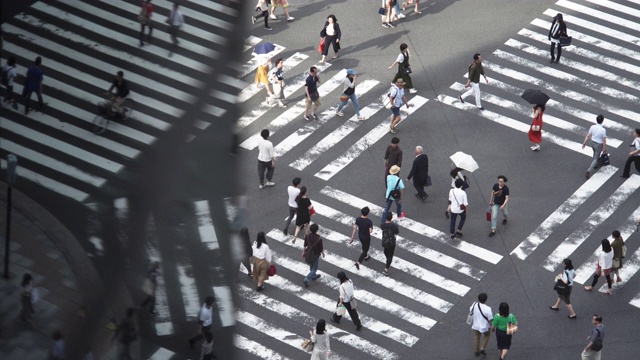 日本东京银座人行横道斑马线。视频素材