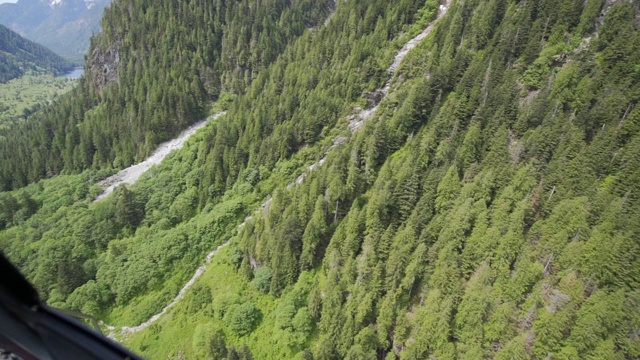 航拍:飞越温哥华郁郁葱葱的山谷，加拿大视频下载