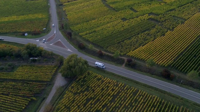 空中盘从左到右向上倾斜:法国Riquewihr的绿色农业区与视野的地平线视频素材