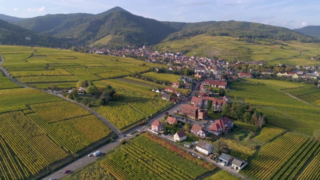空中向前:接近美丽的法国Riquewihr的村庄视频素材