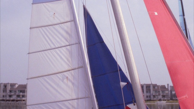 双体船帆的中等角度。红色的帆沿着前景的杆子升起，上面有白色的螃蟹标志。视频下载