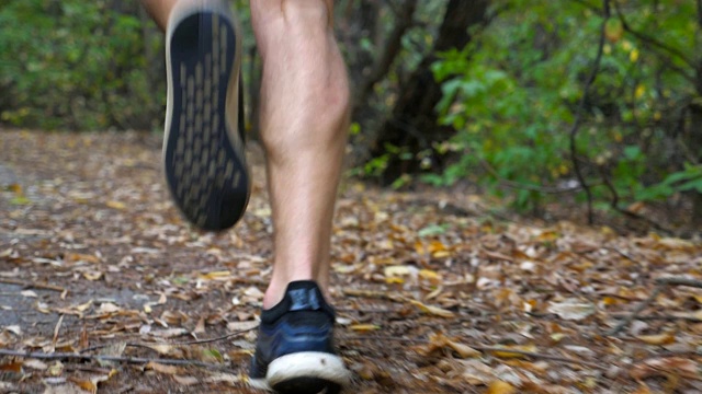 在初秋的森林里，年轻运动员的脚沿着小道奔跑。在大自然中沿着小路慢跑的运动员的双腿。跟随户外运动员训练。健康积极的生活方式。后视视频素材