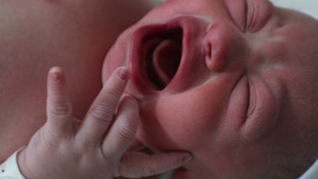 刚出生的婴儿在医院哭泣视频素材