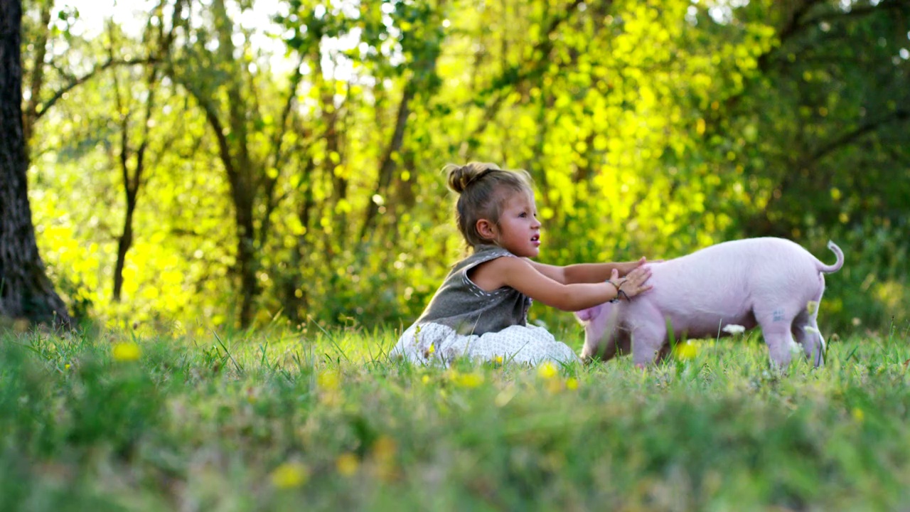 女孩在绿色世界里抚摸和亲吻一头猪。可持续发展，热爱自然，尊重世界，爱护动物。视频下载