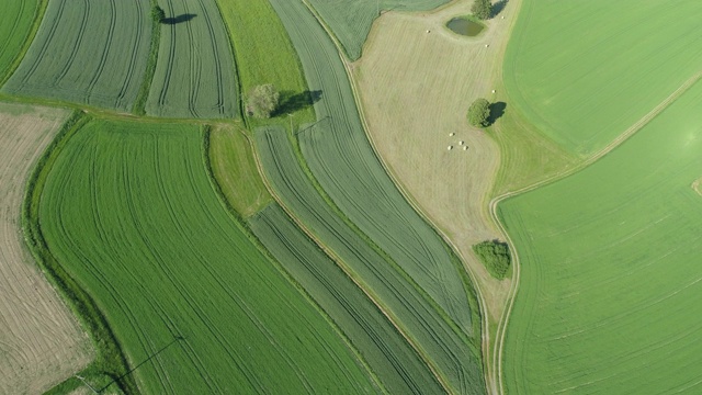 鸟瞰图的农村景观与农业领域。法国，巴伐利亚，德国，欧洲。视频下载