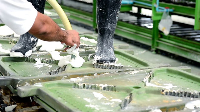 在橡胶枕厂的生产线上，工人将乳胶泡沫放入金属枕模的传送带上视频素材