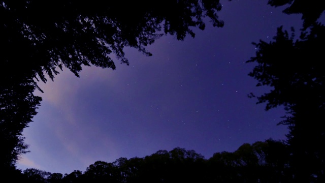 韩国江原道森林星夜美景视频素材