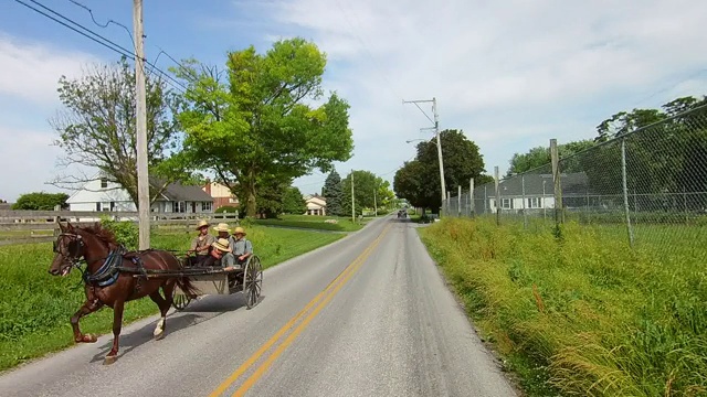 开车在阿米什乡村遇到了阿米什人在马和敞篷车视频素材