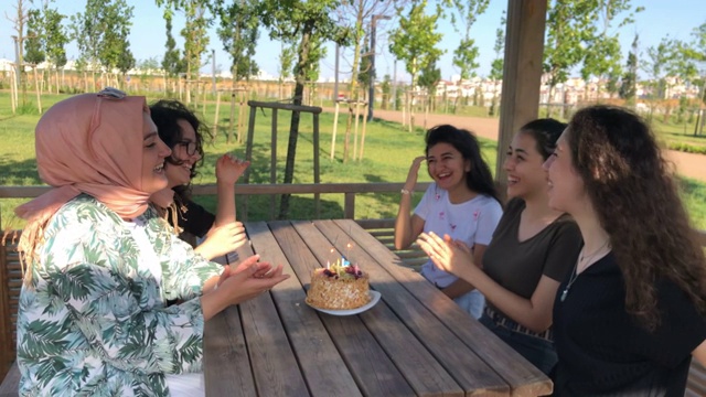朋友庆祝生日视频素材