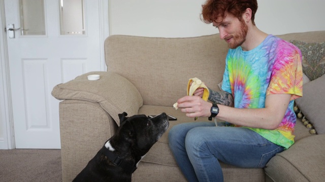 喂狗吃香蕉视频素材