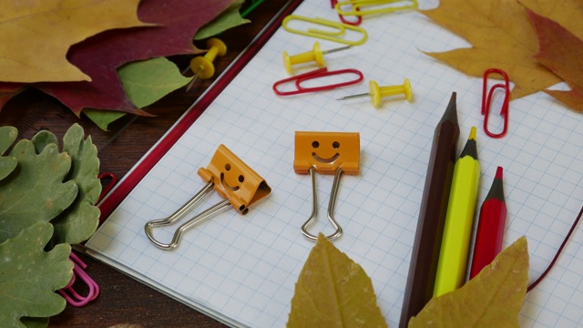 微笑的黄色夹在落下的枫叶和学校办公用品视频素材