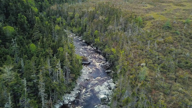 纽芬兰河视频素材