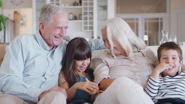 微笑的爷爷奶奶坐在沙发上，孙子孙女在家里视频下载