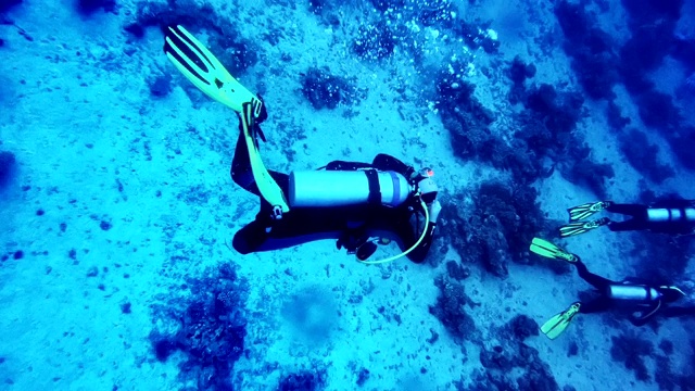 水下生活。在宁静的海洋中潜水视频下载