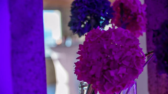 可爱的粉红色和紫色的大花在前景视频素材