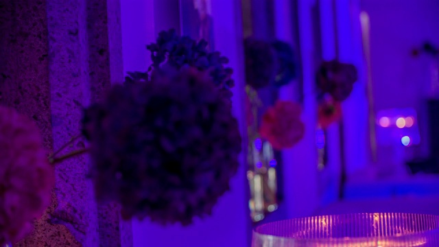 在蓝色闪电的照射下，巨大的紫色花朵绽放视频素材