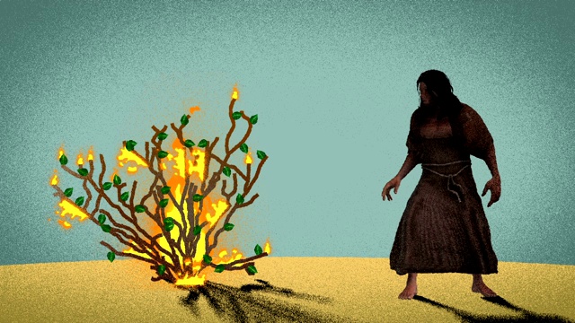 摩西站在沙漠中燃烧的灌木丛前视频素材