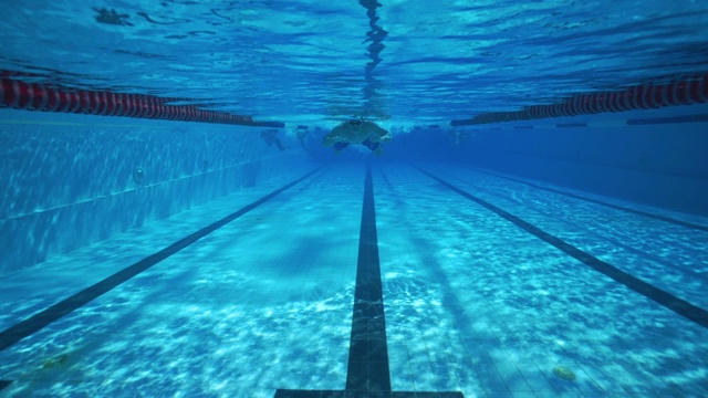 水下男子在干净的运动游泳池游泳视频素材