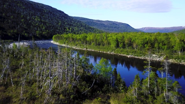 纽芬兰湿地视频素材